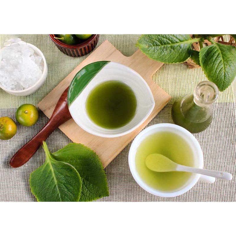 Chậu cây tần dày lá húng chanh vườn nhà trồng tươi sạch và an toàn
