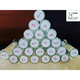 Nước hoa mini Charming Love nữ Neop (10ml)