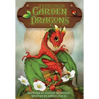 Bộ Bài Field Guide To Garden Dragons (Mystic House Tarot Shop) - Bài Gốc Authentic Chính Hãng 100%