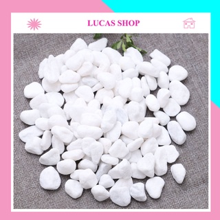 Đá/Sỏi Cao Cấp Decor Chậu Cây Cảnh, Bể Cá, Tiểu Cảnh, Lót Nền Sân Vườn Siêu Xinh