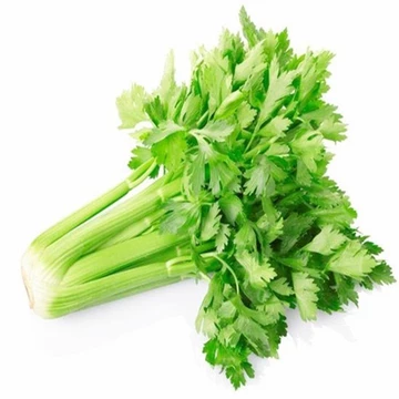Hạt giống Cần tây bẹ to Thái lan 🥬1500 hạt🥬 dùng ép nước