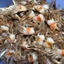 🦀🦀🦀đặc sản Đà Nẵng ghẹ sữa ram rim loại 1 150gr, hũ đầy