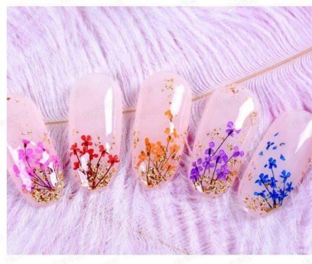 Hoa khô trang trí móng tay - Set 12 màu hoa chùm đắp gel ẩn phong cách Hàn Nhật