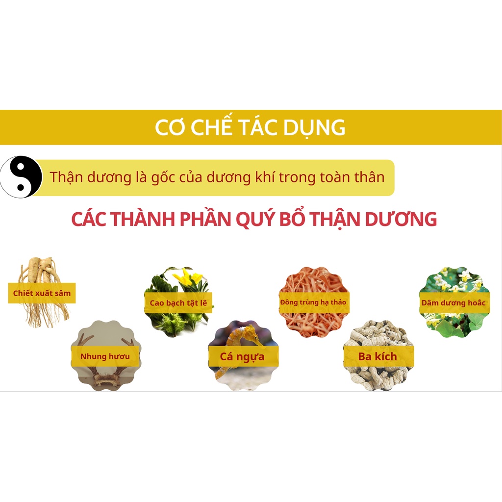 Ảnh Sâm nhung đại bổ thận AN CHÂU dùng cho người thân yếu hộp 4 vỉ 40 viên - Global Pharma 4