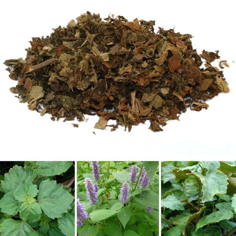 Cây hoắc hương khô thượng hạng JINDO 1kg tác dụng kiện tỳ vị, hỗ trợ khó tiêu, đầy hơi