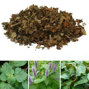 Cây hoắc hương khô thượng hạng JINDO 1kg tác dụng kiện tỳ vị, hỗ trợ khó tiêu, đầy hơi