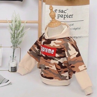Áo nỉ hoodie cho bé, áo nỉ có mũ cho bé, áo nỉ lót lông, áo thu đông hàng Quảng Châu cho bé