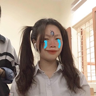 trang.tron1