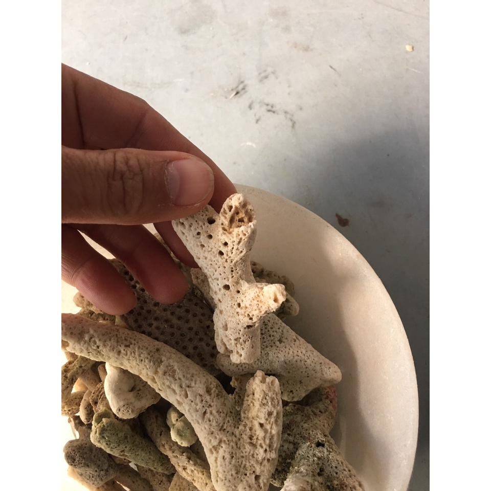 1kg San hô biển lọc nước và trang trí bể cá cảnh ,tiểu cảnh.