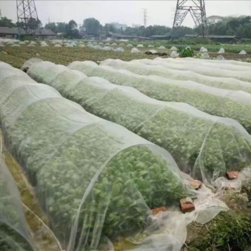 Lưới chống côn trùng , nhà lưới mini trồng rau củ quả