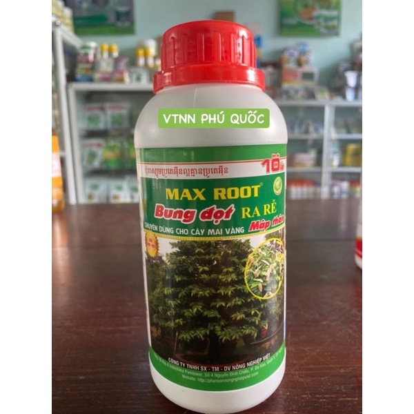 MAX ROOT BUNG ĐỌT RA RỄ MAI VÀNG | Shopee Việt Nam