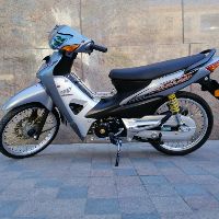 sang220291
