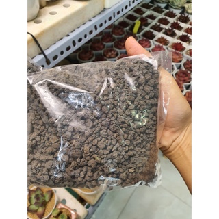 ĐÁ RÃI MẶT/TRỘN GIÁ THỂ DÀNH CHO SEN ĐÁ VÀ XƯƠNG RỒNG (TÚI 500GR), MASATO (1KG)