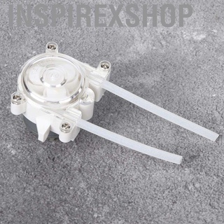 Inspirexshop [Hàng mới về] Ống định lượng tự làm ống định lượng chất lỏng nhu động mini Garden 6V để phân tích phòng thí nghiệm bể cá