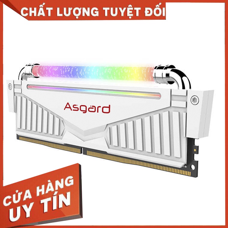Asgardメモリ 32GB(2 x 16GB) DDR4 3200MHz Asgardメモリ 32GB(2 x 16GB) DDR スマホ・タブレット・パソコン 4 3200MHz