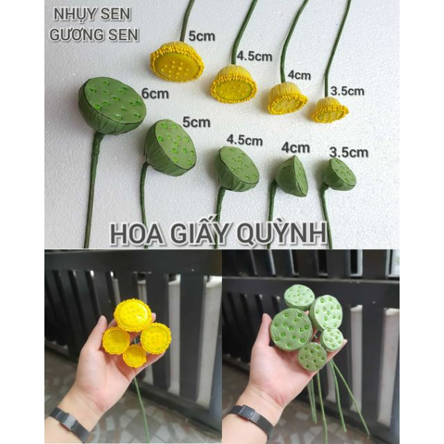 NHỤY SEN, GƯƠNG SEN LÀM HOA SEN | Shopee Việt Nam