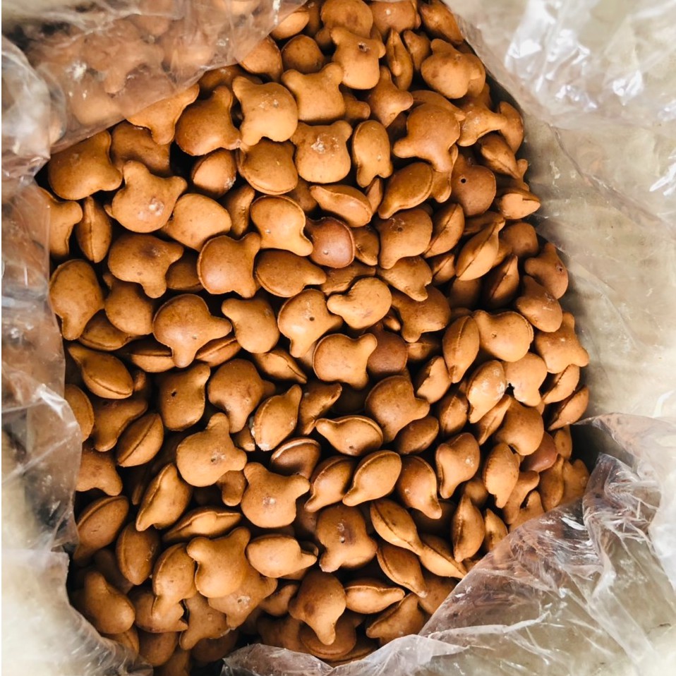 500g bánh gấu ca cao nhân kem béo ngậy