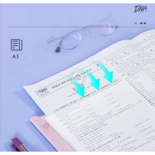 Bìa Lá A3 Có Dây Gài – Kèm Hình Dán Phân Mục – Folder Tài Liệu A3