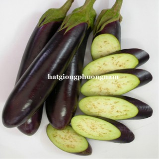 Hạt Giống Các Loại Cà Phương Nam