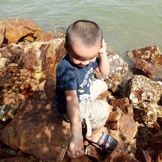 phijason