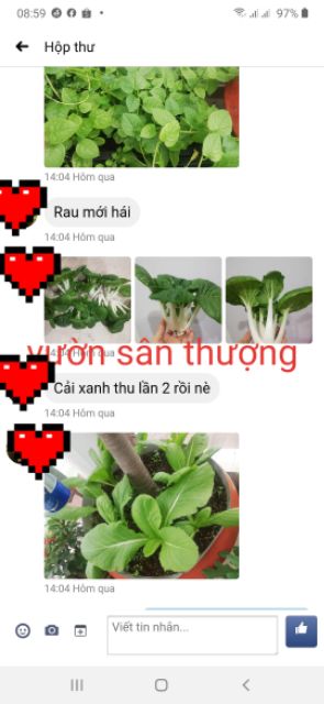 Giá Thể Đã Trộn Sẵn Gói 2kg Cho Rau, Củ, Quả, Cây Cảnh,.. Gồm Đất Phù sa, Tricho, Phân Nhật, Trù.n Quế,v.v Trồng Ngay