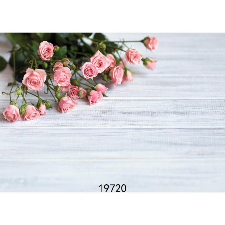 Phông nền chụp ảnh quần áo 80cm x 125cm | Shopee Việt Nam