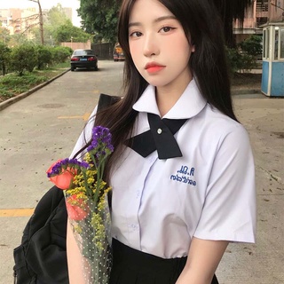 Cà vạt nơ chéo đồng phục học sinh phong cách Nhật Bản
