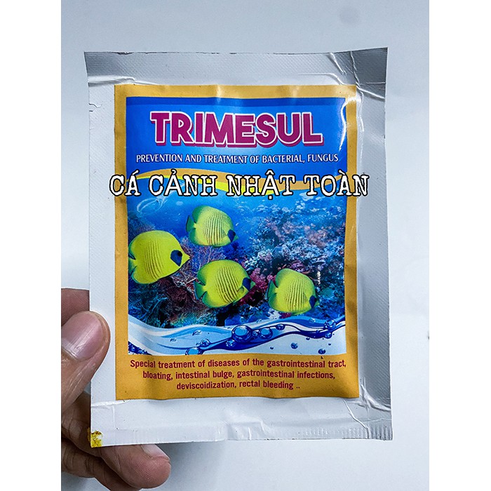 TRIMESUL DƯỠNG CÁ GIÚP KHÁNG KHUẨN NẤM CHO CÁ 10G AN LỘC PHÁT