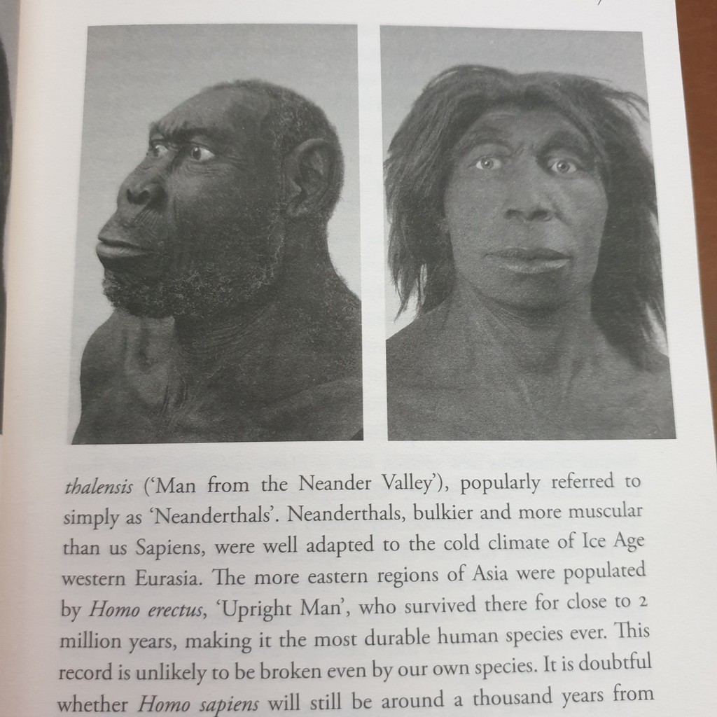 Ảnh Sách Ngoại văn: Sapiens: A Brief History Of Humankind 2