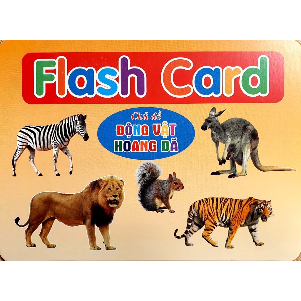 Ảnh Bộ thẻ Flashcard song ngữ Việt Anh - Dạy trẻ về thế giới xung quanh 19 chủ đề (phương pháp Glenn Doman) (Việt Hà) 4