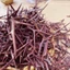 Gai Bồ Kết Khô Túi Lớn Loại 500gram Thaphaco