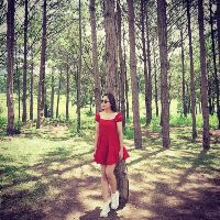 vietlinh211096