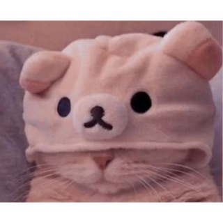 phuongthyho