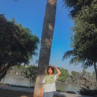 havi123456789chipi