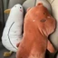 Gấu và Vịt Thú nhồi bông cute (combo 2chú )