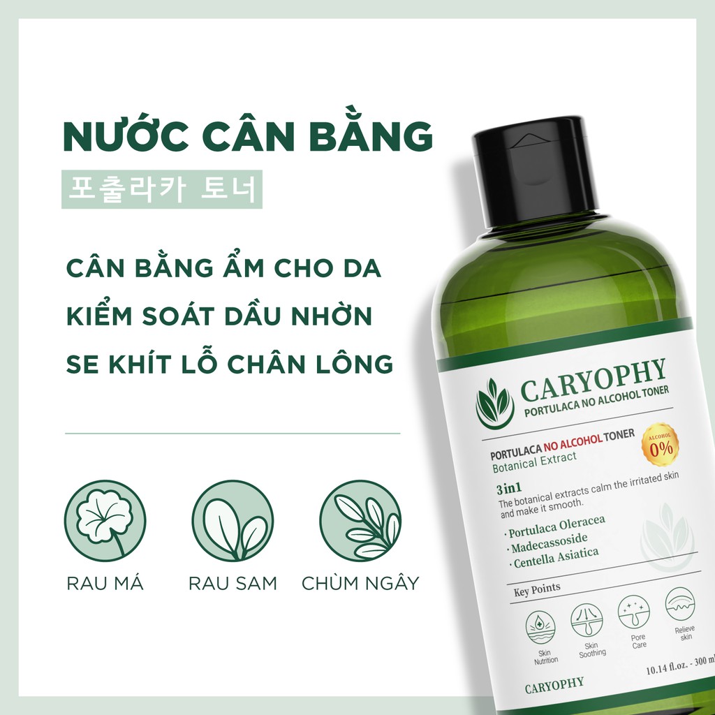 Ảnh Nước cân bằng không cồn cho da mụn Caryophy Portulaca Toner 300ml 2