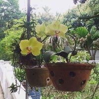 littlemoon157