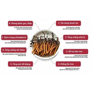 Nước đông trùng hạ thảo Jeong won Hàn quốc hộp 20 gói/80ml