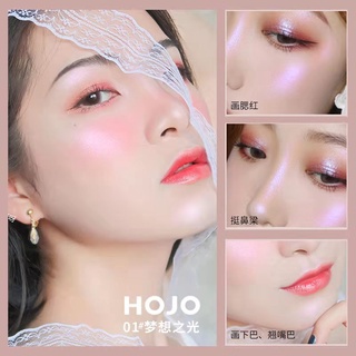 Bảng Phấn Bắt Sáng Tạo Khối Ba Chiều Hiệu Hojo novo No.8029