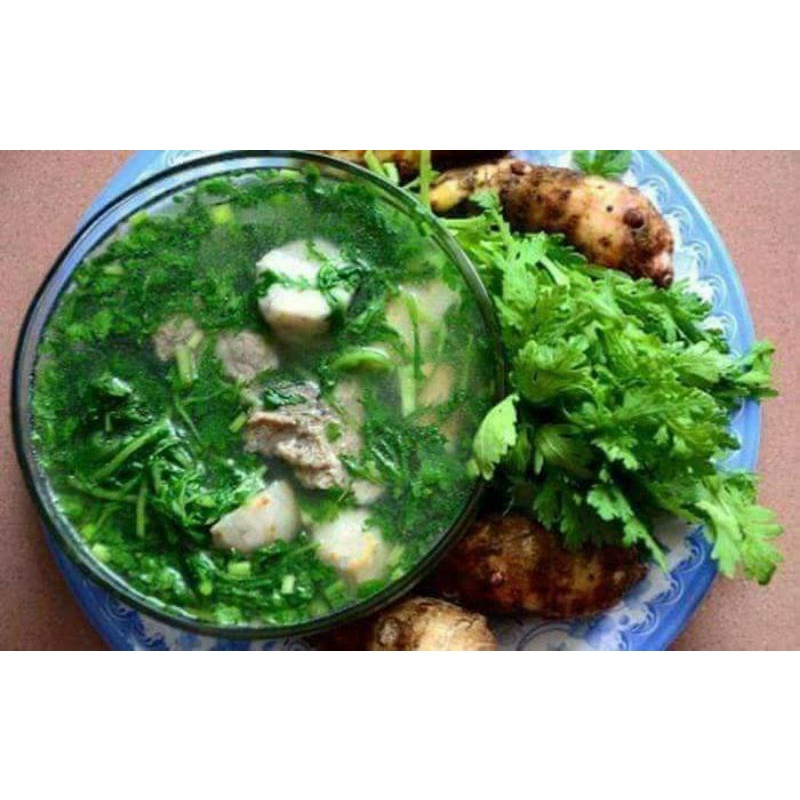 Hạt Giống Rau Cải Cúc f1 ( Tần Ô) 🤗 Siêu Nảy Mầm 🥬 năng suất cao