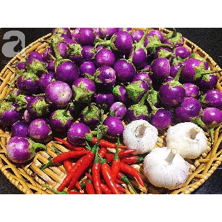 🍀Hạt Giống Cà Pháo Tím F1 Cao Sản🍀 Sinh Trưởng Khỏe Kháng Sâu Bệnh Gói 100 Hạt
