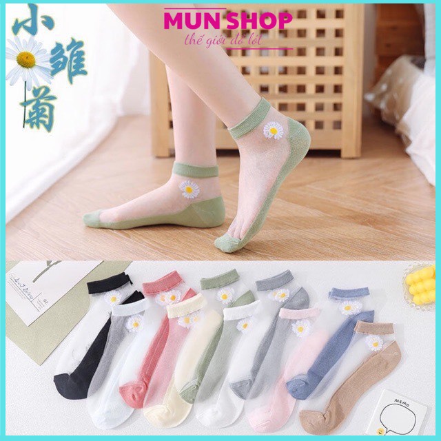 TÚI 10 ĐÔI TẤT LƯỚI HOA CÚC SIÊU HÓT