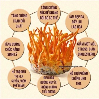 GIÁ SỐC:  Nước Đông Trùng Hạ Thảo Cao Cấp Hàn Quốc, Hộp Vàng 30 Gói x 70ml