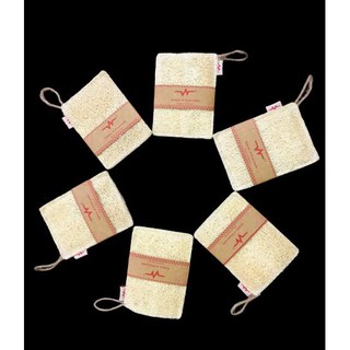 Miếng rửa chén / rửa bát xơ mướp chữ nhật nhỏ