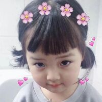 hoahuongduongt