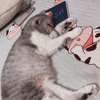 lanhuong_nani144
