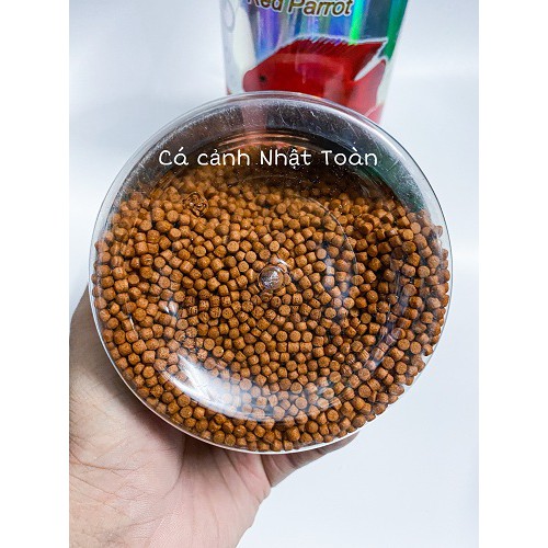 THỨC ĂN CHUYÊN LÊN MÀU ĐỎ CÁ HỒNG KÉT, LA HÁN PORPOISE