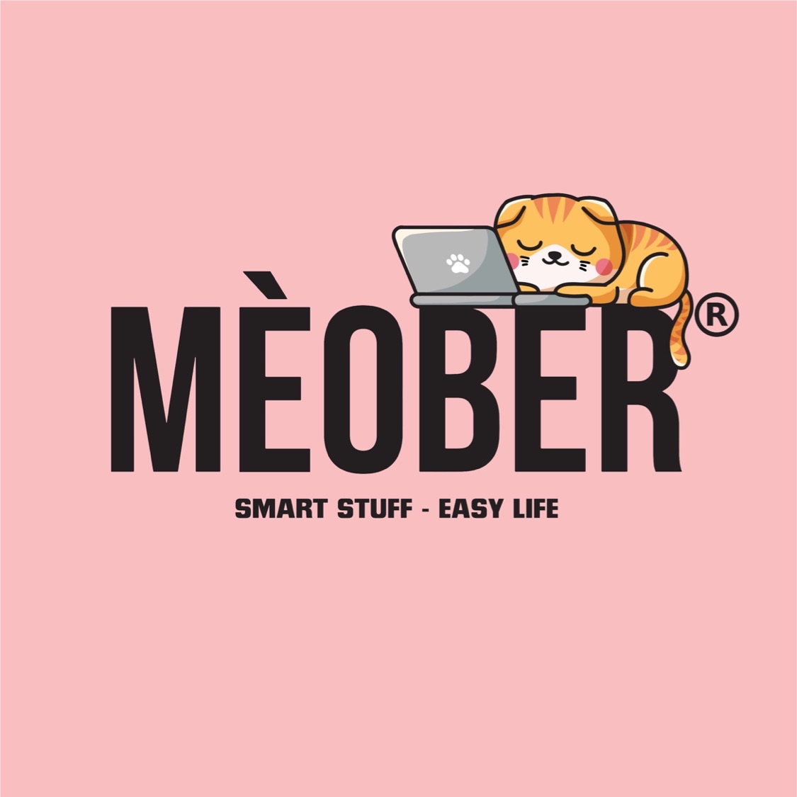 MèoBer 