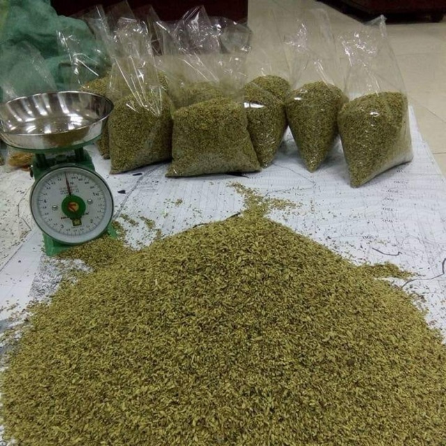 1kg Hoa hoè khô thái bình của nhà trồng đảm bảo sạch  thơm ngon