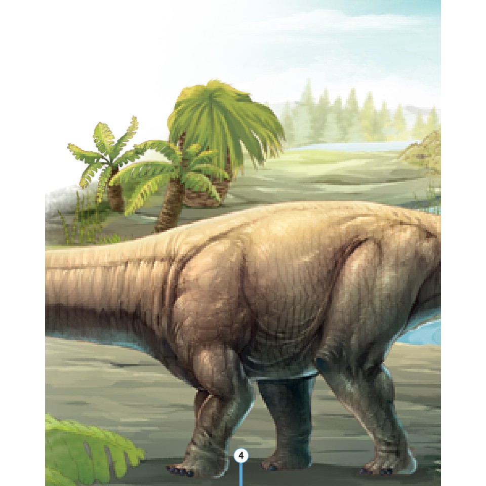 Ảnh Sách-Kiến thức về khủng long-Cổ khủng long Mamenchisaurus dài bao nhiêu?Cơ thể khủng long chứa đầy bí mật 4